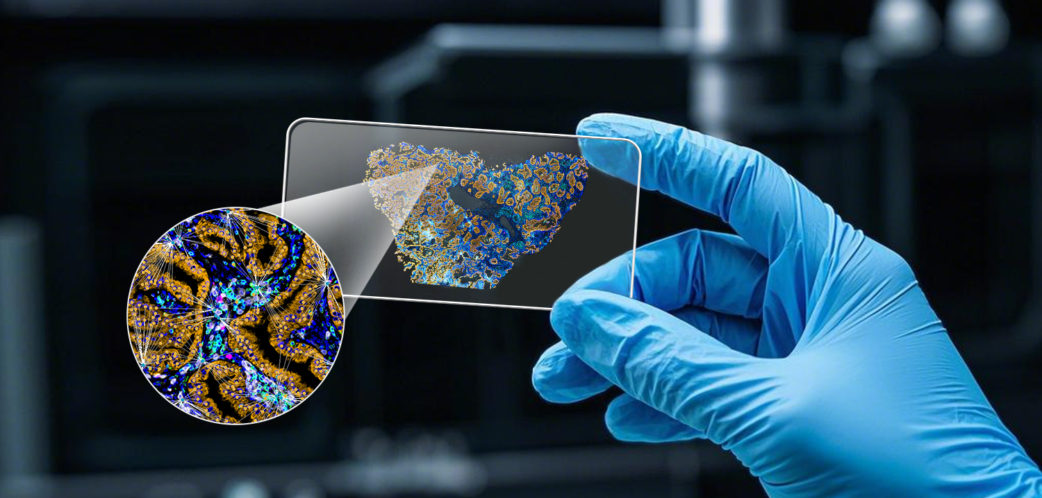 创新驱动中国精准医疗的发展与进步